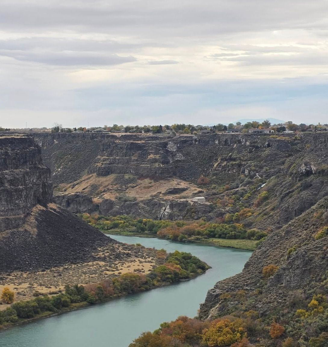 Untitled design (31)